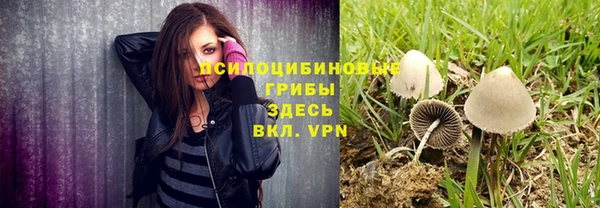 синтетический гашиш Богданович
